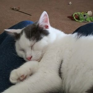 Meet your Posher, Rusty